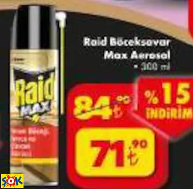 RAİD BÖCEKSAVAR MAX AEROSOL RAİD BÖCEKSAVAR MAX AEROSOL